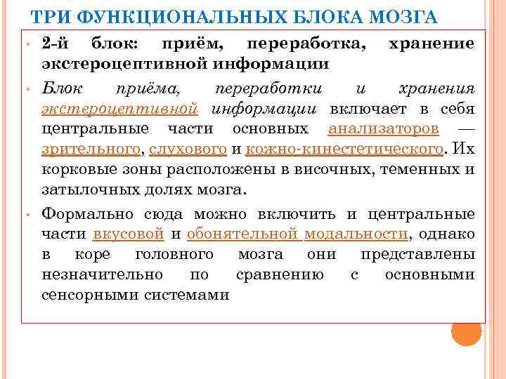 ТРИ ФУНКЦИОНАЛЬНЫХ БЛОКА МОЗГА • (ПО А. Р. ЛУРИЯ) 2 -й блок: приём, переработка,