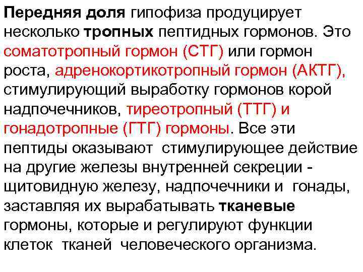 Передняя доля гипофиза продуцирует несколько тропных пептидных гормонов. Это соматотропный гормон (СТГ) или гормон