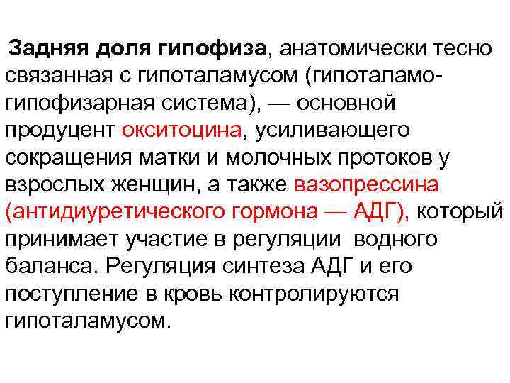 Задняя доля гипофиза, анатомически тесно связанная с гипоталамусом (гипоталамогипофизарная система), — основной продуцент окситоцина,