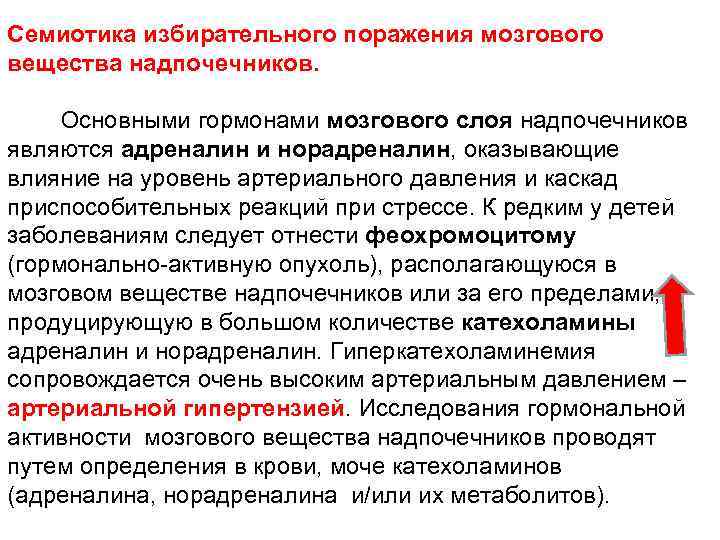 Семиотика избирательного поражения мозгового вещества надпочечников. Основными гормонами мозгового слоя надпочечников являются адреналин и