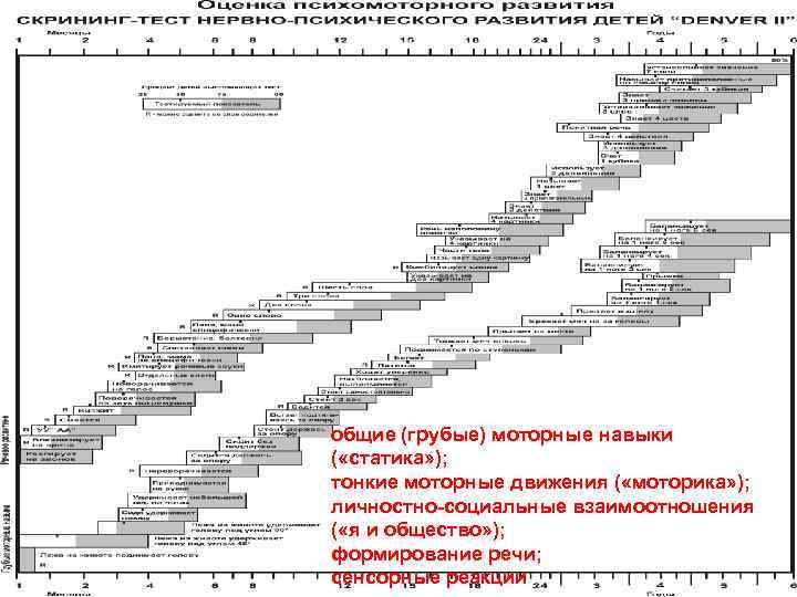общие (грубые) моторные навыки ( «статика» ); тонкие моторные движения ( «моторика» ); личностно-социальные