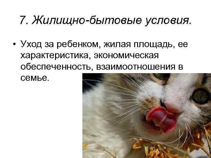 7. Жилищно-бытовые условия. • Уход за ребенком, жилая площадь, ее характеристика, экономическая обеспеченность, взаимоотношения