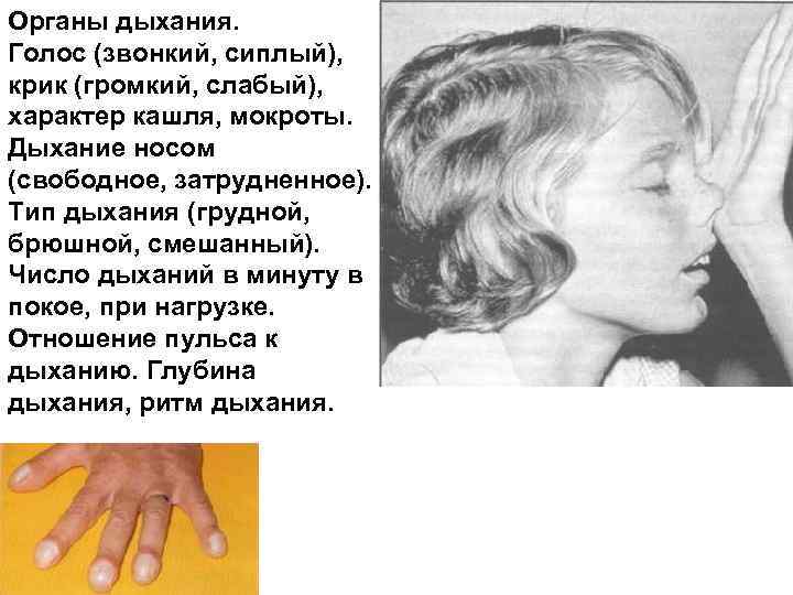Органы дыхания. Голос (звонкий, сиплый), крик (громкий, слабый), характер кашля, мокроты. Дыхание носом (свободное,