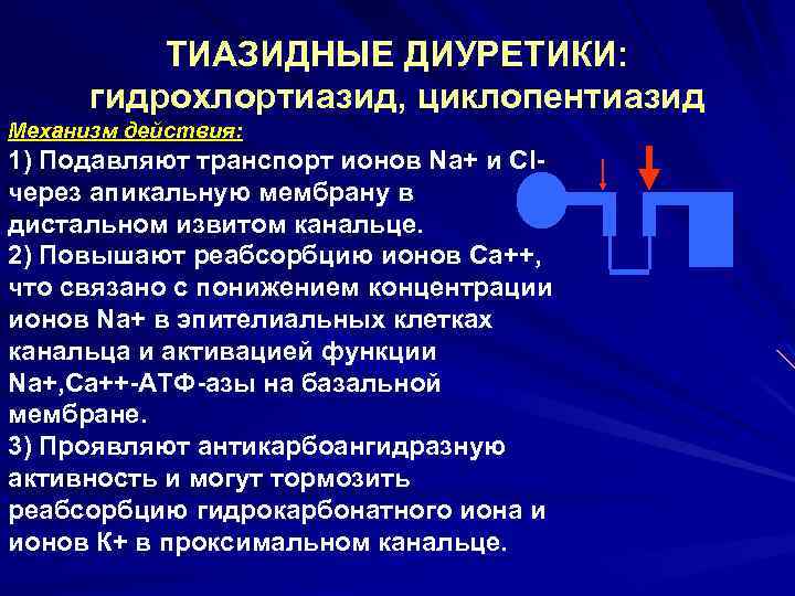 ТИАЗИДНЫЕ ДИУРЕТИКИ: гидрохлортиазид, циклопентиазид Механизм действия: 1) Подавляют транспорт ионов Na+ и Clчерез апикальную