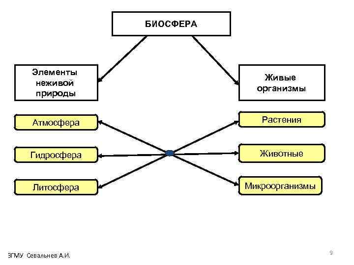 БИОСФЕРА Элементы неживой природы Живые организмы Атмосфера Растения Гидросфера Животные Литосфера Микроорганизмы ЗГМУ Севальнев