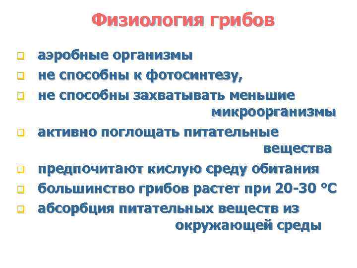 Физиология грибов q q q q аэробные организмы не способны к фотосинтезу, не способны