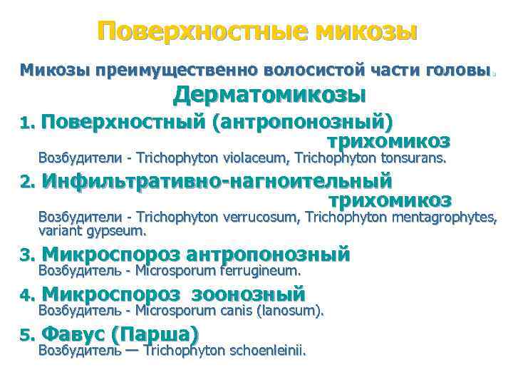 Поверхностные микозы Микозы преимущественно волосистой части головы. Дерматомикозы 1. Поверхностный (антропонозный) трихомикоз Возбудители -