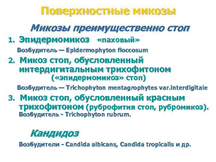 Поверхностные микозы Микозы преимущественно стоп 1. Эпидермомикоз «паховый» Возбудитель — Epidermophyton floccosum 2. Микоз