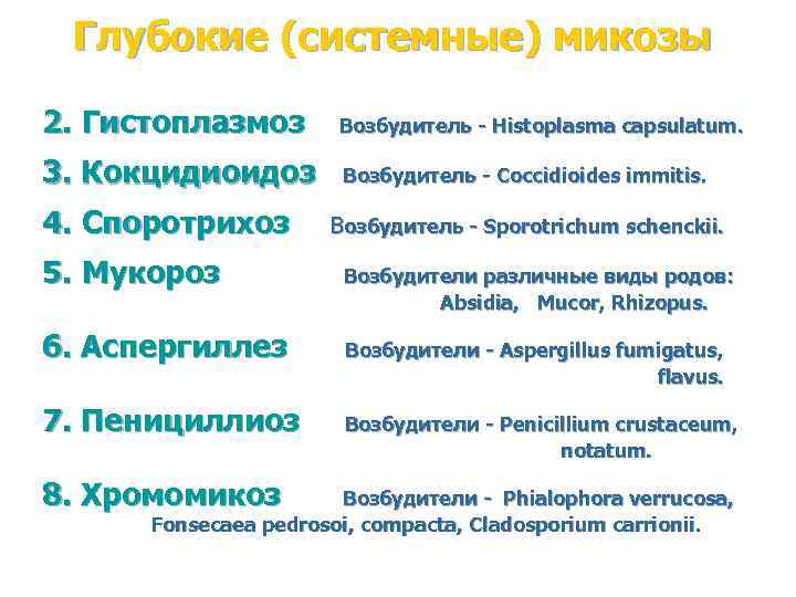 Глубокие (системные) микозы 2. Гистоплазмоз Возбудитель - Histoplasma capsulatum. 3. Кокцидиоидоз Возбудитель - Coccidioides