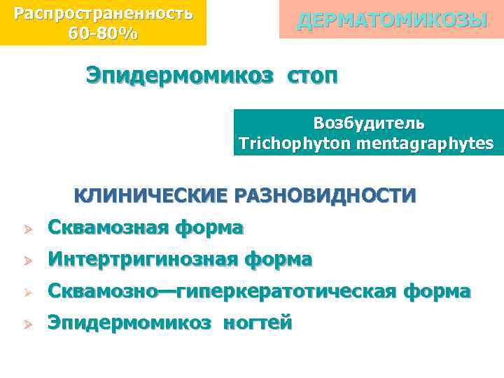 Распространенность 60 -80% ДЕРМАТОМИКОЗЫ Эпидермомикоз стоп Возбудитель Trichophyton mentagraphytes КЛИНИЧЕСКИЕ РАЗНОВИДНОСТИ Ø Сквамозная форма