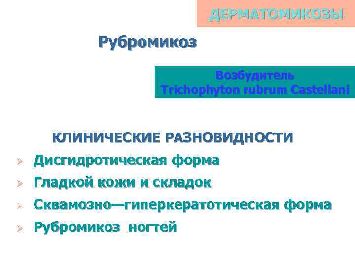 ДЕРМАТОМИКОЗЫ Рубромикоз Возбудитель Trichophyton rubrum Castellani КЛИНИЧЕСКИЕ РАЗНОВИДНОСТИ Ø Дисгидротическая форма Ø Гладкой кожи