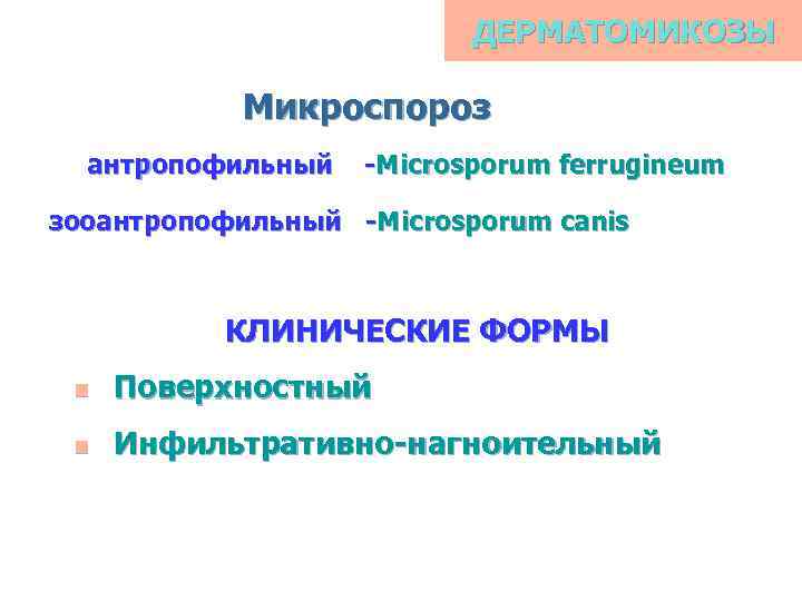 ДЕРМАТОМИКОЗЫ Микроспороз антропофильный -Microsporum ferrugineum зооантропофильный -Microsporum canis КЛИНИЧЕСКИЕ ФОРМЫ n Поверхностный n Инфильтративно-нагноительный