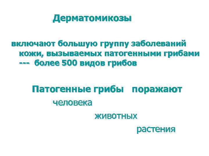 Дерматомикозы включают большую группу заболеваний кожи, вызываемых патогенными грибами --- более 500 видов грибов