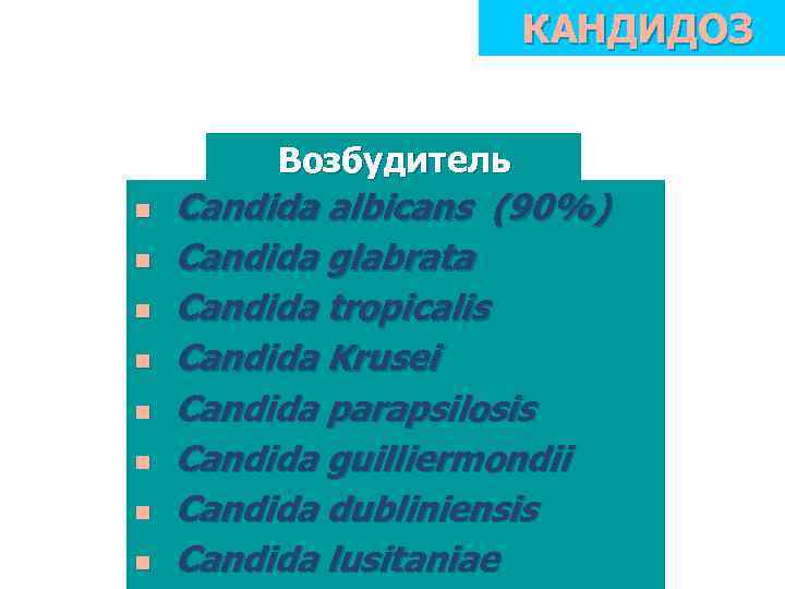КАНДИДОЗ Возбудитель n n n n Candida albicans (90%) Candida glabrata Candida tropicalis Candida