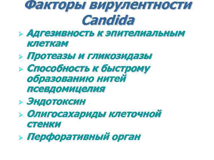 Факторы вирулентности Candida Адгезивность к эпителиальным клеткам Ø Протеазы и гликозидазы Ø Способность к