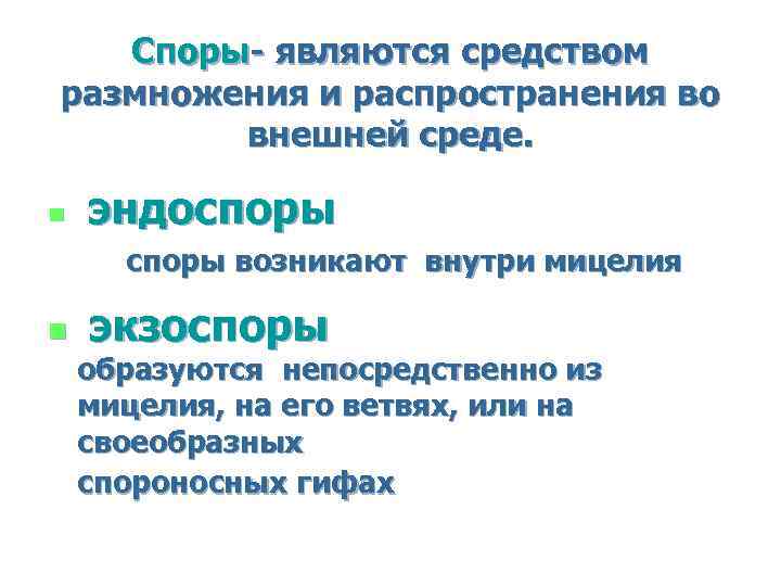 Споры- являются средством размножения и распространения во внешней среде. n эндоспоры cпоры возникают внутри