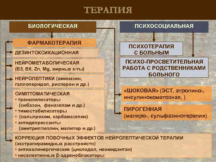 ТЕРАПИЯ БИОЛОГИЧЕСКАЯ ФАРМАКОТЕРАПИЯ ДЕЗИНТОКСИКАЦИОННАЯ НЕЙРОМЕТАБОЛИЧЕСКАЯ (B 3, B 6, Zn, Mg, жирные к-ты) НЕЙРОЛЕПТИКИ