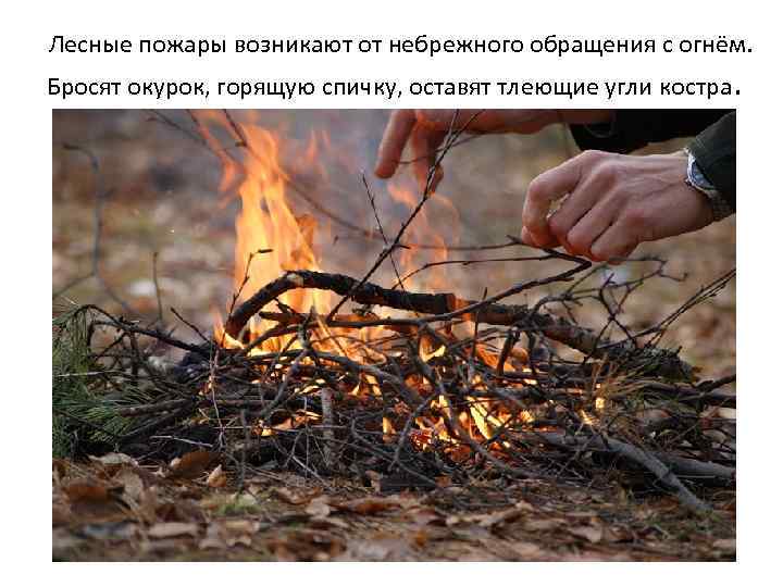  Лесные пожары возникают от небрежного обращения с огнём. Бросят окурок, горящую спичку, оставят