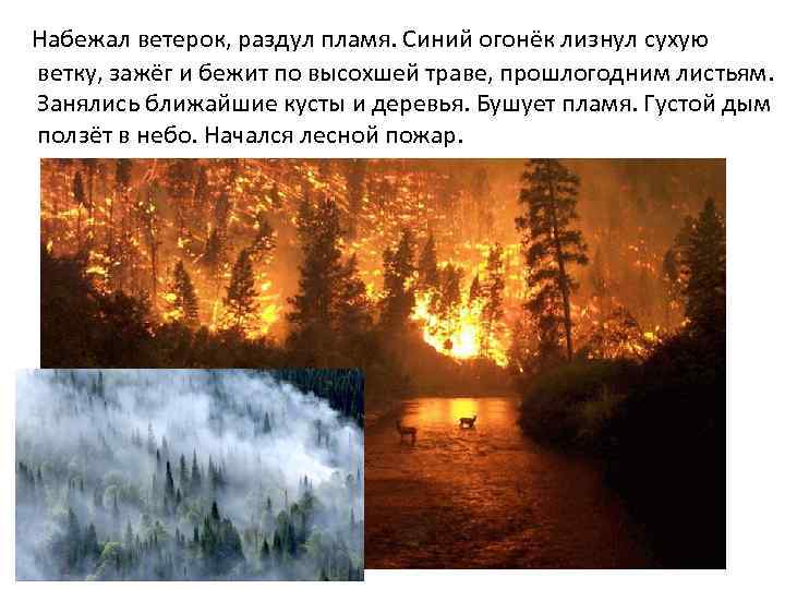  Набежал ветерок, раздул пламя. Синий огонёк лизнул сухую ветку, зажёг и бежит по