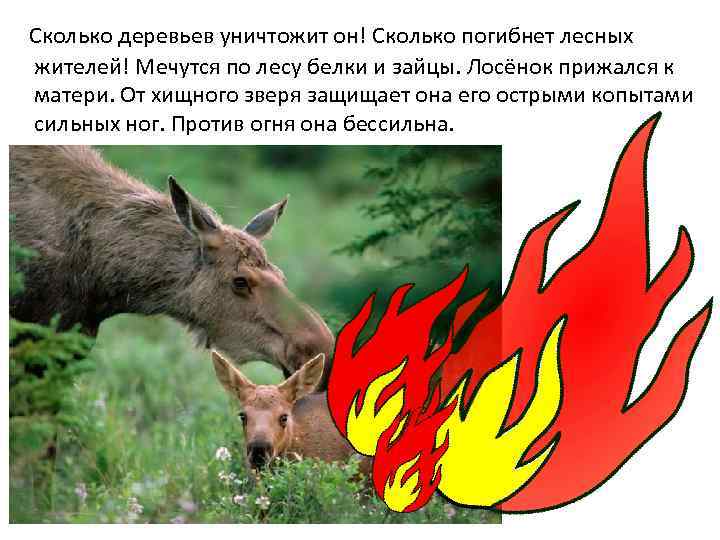  Сколько деревьев уничтожит он! Сколько погибнет лесных жителей! Мечутся по лесу белки и