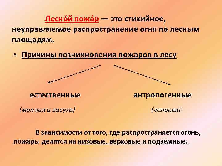  Лесно й пожа р — это стихийное, неуправляемое распространение огня по лесным площадям.