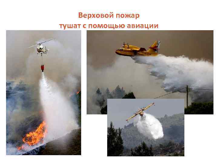 Верховой пожар тушат с помощью авиации 