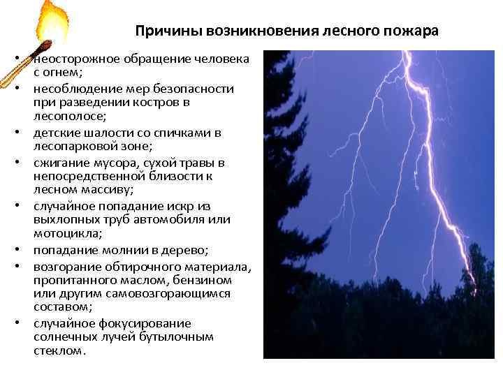 Причины возникновения лесного пожара • неосторожное обращение человека с огнем; • несоблюдение мер безопасности