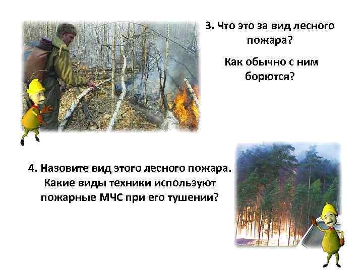 3. Что это за вид лесного пожара? Как обычно с ним борются? 4. Назовите