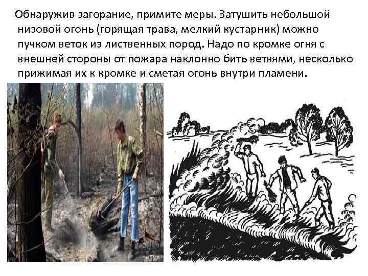  Обнаружив загорание, примите меры. Затушить небольшой низовой огонь (горящая трава, мелкий кустарник) можно