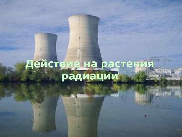Действие на растения радиации 