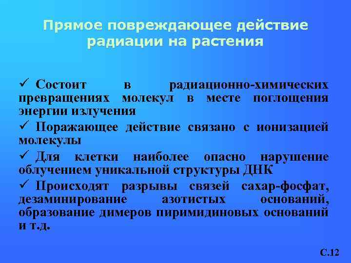Прямое повреждающее действие радиации на растения ü Состоит в радиационно-химических превращениях молекул в месте