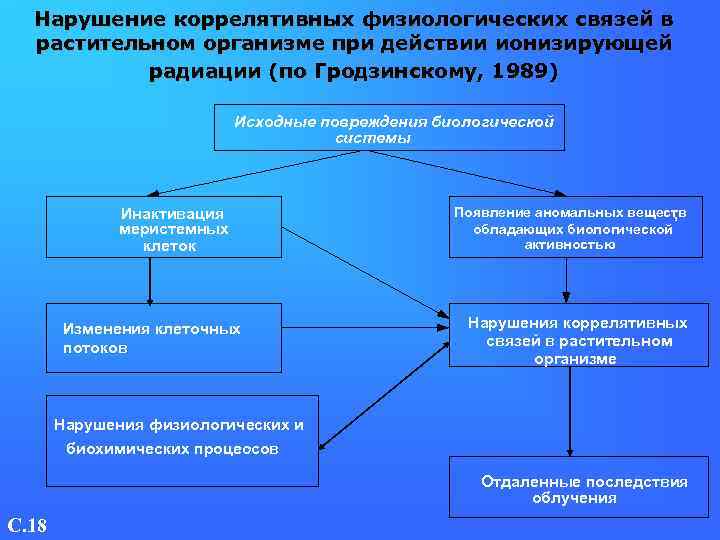 Нарушение коррелятивных физиологических связей в растительном организме при действии ионизирующей радиации (по Гродзинскому, 1989)