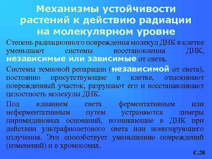 Механизмы устойчивости растений к действию радиации на молекулярном уровне Степень радиационного повреждения молекул ДНК