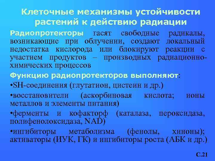 Клеточные механизмы устойчивости растений к действию радиации Радиопротекторы гасят свободные радикалы, возникающие при облучении,