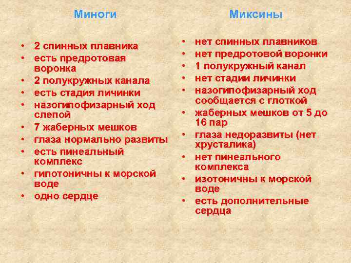 Миноги • 2 спинных плавника • есть предротовая воронка • 2 полукружных канала •