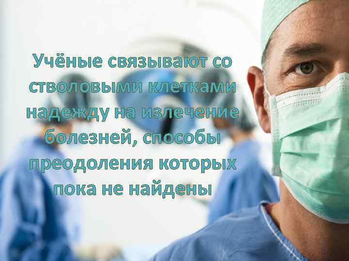 Учёные связывают со стволовыми клетками надежду на излечение болезней, способы преодоления которых пока не