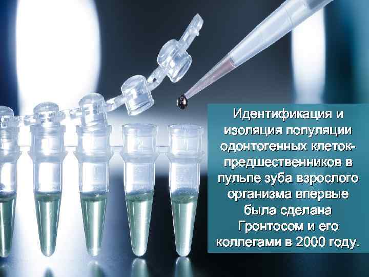 Идентификация и изоляция популяции одонтогенных клетокпредшественников в пульпе зуба взрослого организма впервые была сделана