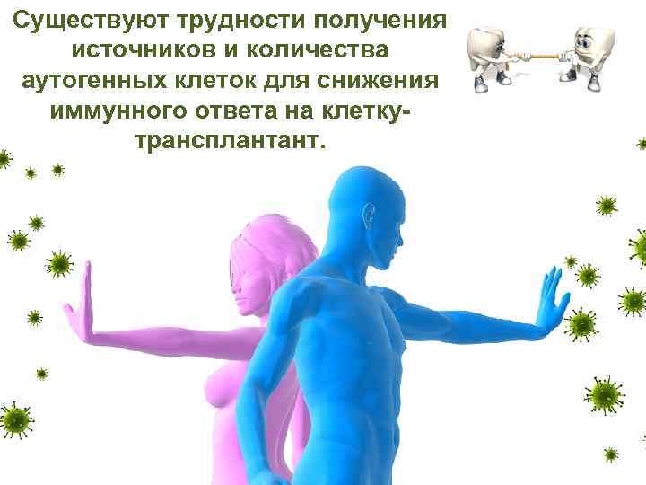 Существуют трудности получения источников и количества аутогенных клеток для снижения иммунного ответа на клеткутрансплантант.