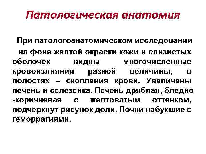 Патологическая анатомия При патологоанатомическом исследовании на фоне желтой окраски кожи и слизистых оболочек видны