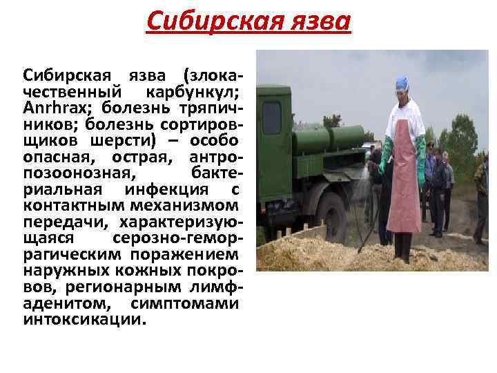 Сибирская язва (злокачественный карбункул; Anrhrax; болезнь тряпичников; болезнь сортировщиков шерсти) – особо опасная, острая,