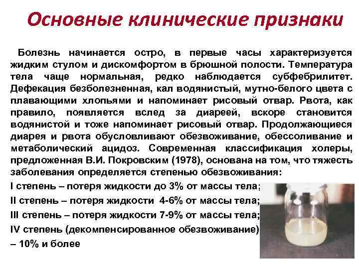 Основные клинические признаки Болезнь начинается остро, в первые часы характеризуется жидким стулом и дискомфортом