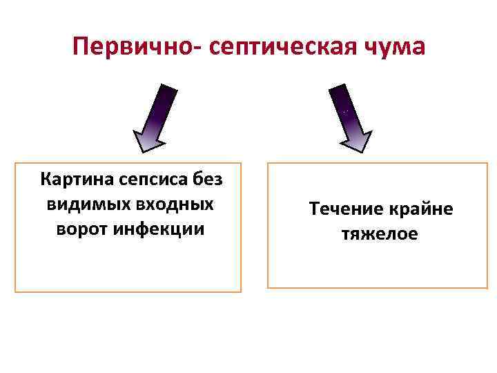 Первично- септическая чума Картина сепсиса без видимых входных ворот инфекции Течение крайне тяжелое 