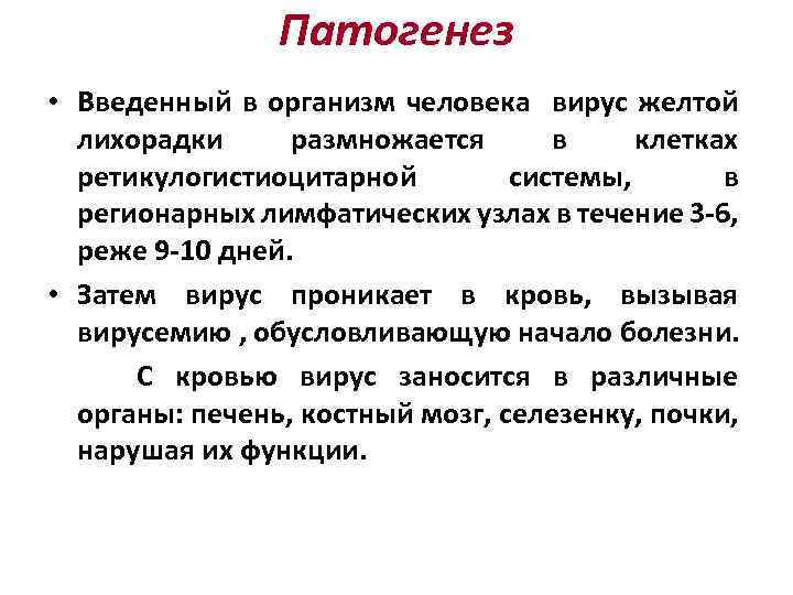 Патогенез • Введенный в организм человека вирус желтой лихорадки размножается в клетках ретикулогистиоцитарной системы,