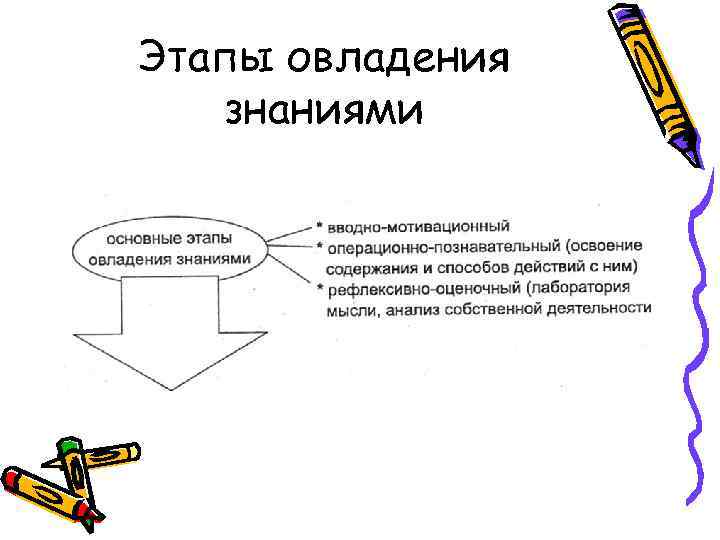 Этапы овладения знаниями 