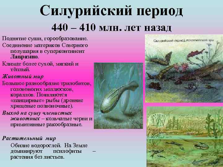 Силурийский период 440 – 410 млн. лет назад Поднятие суши, горообразование. Соединение материков Северного