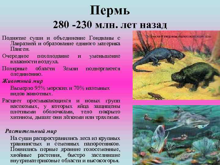 Пермь 280 -230 млн. лет назад Поднятие суши и объединение Гондваны с Лавразией и