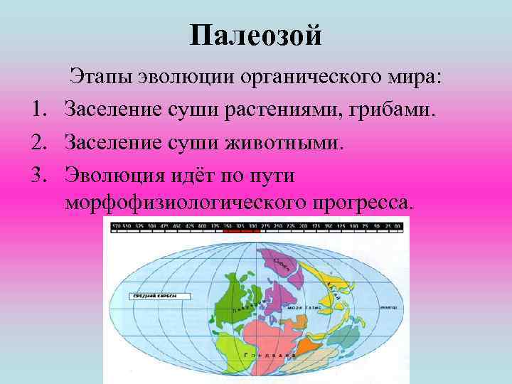 Палеозой Этапы эволюции органического мира: 1. Заселение суши растениями, грибами. 2. Заселение суши животными.