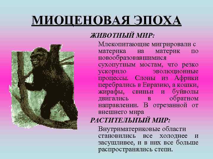 МИОЦЕНОВАЯ ЭПОХА ЖИВОТНЫЙ МИР: Млекопитающие мигрировали с материка на материк по новообразовавшимися сухопутным мостам,
