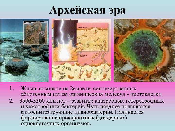 Живые организмы архея