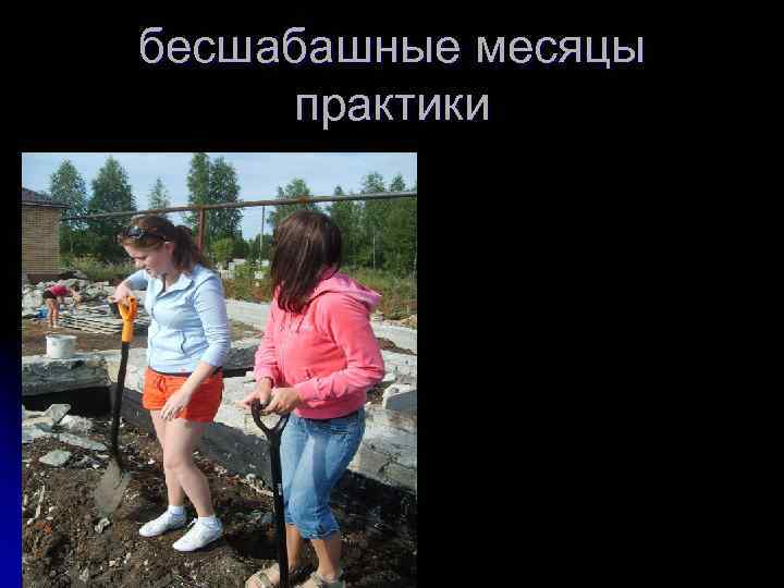 бесшабашные месяцы практики 